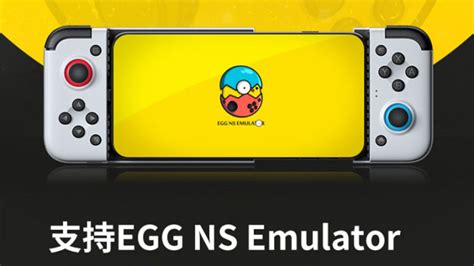 egg ns